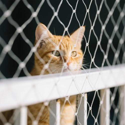 toothank Katzennetz für Balkon 3x4m, Vogelschutznetz – Transparent, Reißfest – Balkonnetz für Katzen & Tauben, Inkl. 20 Haken & Montageseil