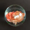 Schönes Paperweight/Briefbeschwerer Glas Kugel Wohndeko Rose orange 9 cm