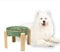 Gamelle Anti-Glouton Surélevée pour Chien - Bol en Céramique avec Support en Bambou - Idéale pour Chiens Moyens et Grands - Vert - 22,5 cm