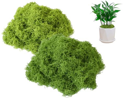Anlising 300g Mousse Artificielle, Vert Fausse Mousse, Mousse de Renne Artificielle, Mousse Décorative, Mousse Stabilisée, Plantes Artificielles, pour Fleuriste, Décoration Murale, Travaux Manuels
