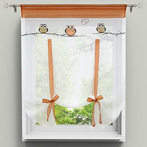 HongYa Raffrollo Bindegardine Eule Bestickte Küche Gardine Transparenter Vorhang Voile mit Tunnelzug H/B 140/60 cm Terra