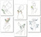 craspire Wand-Kunstdruck, Minimalistisches Line-Art-Gemälde, Set Mit 6 Papierblume, Wanddekoration, Abstraktes Einzeiliges Wandkunst-Poster Für Wohnzimmer, Schlafzimmer, Büro (10 Zoll X 8 Zoll)