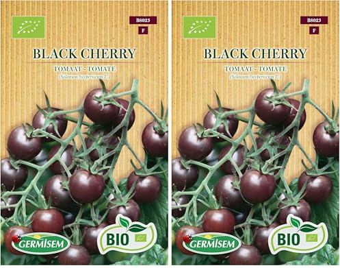 Tomate Black Cherry (Paquete de 2)