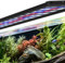 AQQA Aquarium Light, Full Spectrum Fish Tank Light for Plants with Timer Auto On/Off,Waterproof LED Aquarium Light with Extendable Brackets,5 Levels Adjustable Brightness,14 Colors