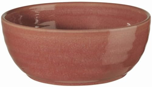 ASA 24350268 COPPA Poke Bowl Dragonfruit 18 cm (1 Stück)