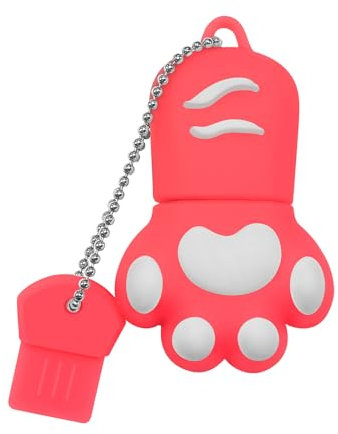DONWEI USB Stick-Memory Stick USB 2.0 64 GB,High Speed Transfer USB Memory Stick,Cartoon Cat Paw Shape Flash Drive,Easy to Carry Mini USB Drive (Pink)