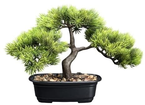 CREATIV green künstlicher Bonsai Kiefer Baum 23 x 30cm I Bonsai Baum künstlich mit Kunststoff-Topf 17 x 10 x 5,5cm in schwarz I künstliche Pflanzen als Wohnzimmer Deko I Kunstpflanze Bonsai mit Kies