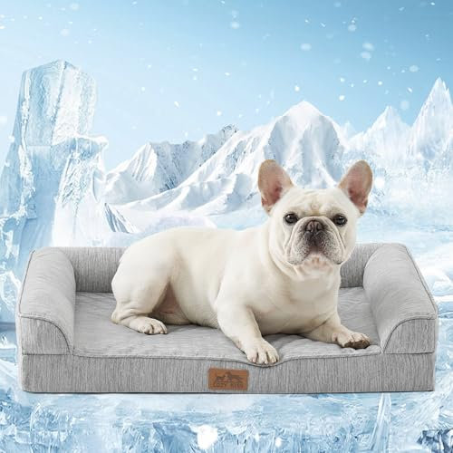 COZY KISS Kühlbett für Hunde, Orthopädisches Hundebett Kleine Hunde, Hundecouch mit Eierförmiger Kistenschaum, Hundesofa mit Abnehmbarer Bezug und wasserdichte Innenlage, Silbergrau (M,76x51x15cm)