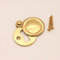 Couvercle de serrure de porte de style victorien fermé avec vis en différentes finitions (laiton poli)