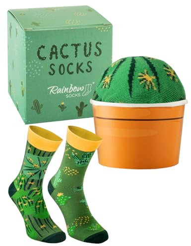 Rainbow Socks - Cactus Box Socks - Ein Kaktus in Einem Blumentopf – Damen Herren Grüne Kaktussocken – ein Lustiges Geschenk für Kaktus Sukkulente und Pflanzenfans - 1 Paar - Größen 47-50