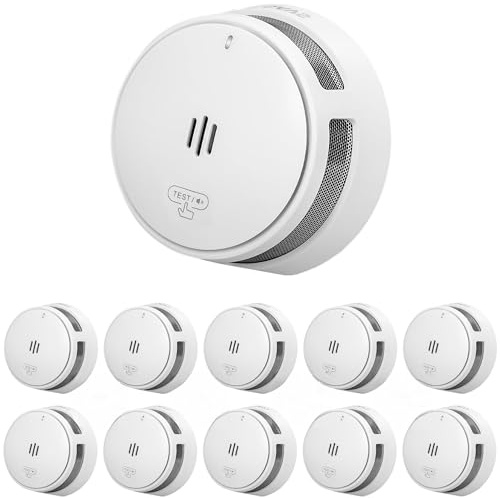 SAVS S10-W Funkvernetzter Rauchmelder - RF Rauchwarnmelder Vernetzt - 10 Jahre Batterie - Feuermelder mit Dualer Optischer Sensor – Funkrauchmelder - Optional WLAN - 10er Set