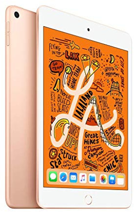 2019 Apple iPad Mini (7.9-inch, Wi-Fi, 256GB) Gold (Renewed)