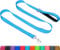 Taglory Dog Leads for Small Medium Dogs | Double Sided Reflective | Soft Neoprene Padded Handle | 2 cm Wide by 180 cm Long | Sky Blue