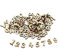 200Pcs 0-9 Holznummern, 15mm DIY Block Holzplatte für Kunsthandwerk Hochzeit DIY Dekoration Displays200Pcs 0-9 Holz Zahlen, 15mm DIY Block Holzplatte für Kunsthandwerk Hochzeit DIY Dekoration Displays