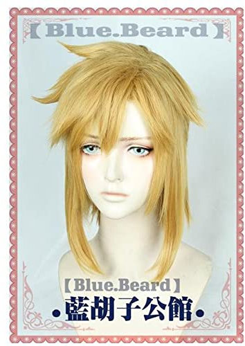 Wig for Link Goldene Perücke Cosplay The Legend of Zelda Cosplay Perücke Haare Rollenspiel Goldene Farbe Halloween Rollenspiel Haare + Perückenkappe Legend of Zelda wie auf dem Bild
