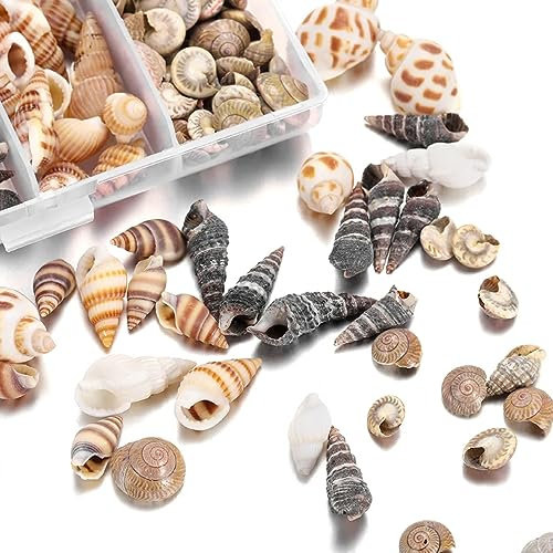 Anicy 100 Pcs Muscheln Deko - Deko Muscheln und Seesterne, Muscheln zum Basteln für Vase Füllstoffe, Strand Thema Party Hochzeit Dekor, DIY Kunsthandwerk, Fisch Panzer