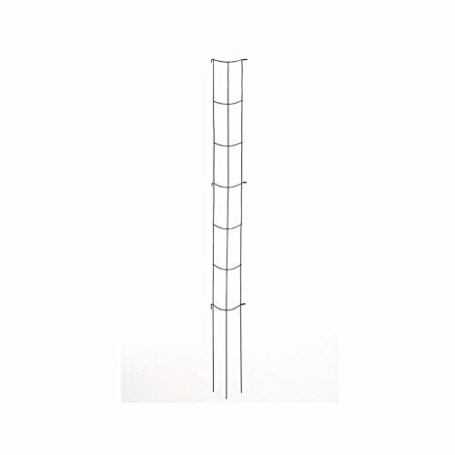 Siena Garden grün Gemüse-Rankturm 202cm