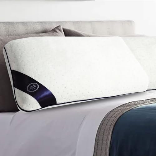 SAMPUR Oreiller Zenith | Mousse à mémoire de Forme Microperforée & Ventilée | Housse hypoallergénique et Lavable | Maintien Optimal de la Nuque (30x50 cm)