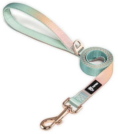 TSPRO Leichtgewicht Hundeleine mit Gepolstertem Griff und Metallverschluss, Farbverlauf Laufleine für Hunde für Kleine bis Mittelgroße Hunde Gehen Laufen (Gelb-Grün)