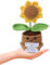 EujRcf Emotional Support Gift, sunflower plug plants, sunflower plant supports, Emotional Support Plant, Plant Gifts, 15.5 cm Height, Perfect for Encouragement and Comfort