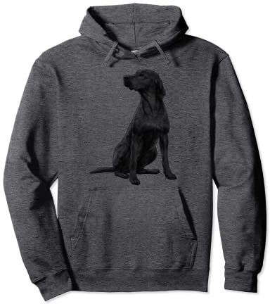 Rhodesian Ridgeback Hund Pullover Hoodie