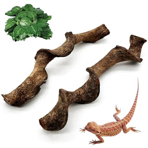 VCEPJH Schlangenkletterzweig, 3 Stück, Reptilienholz, Naturkork, Terrarium, Dekoration, Bartdrache, Tankzubehör, Baumstamm für Chamäleon, Gecko, Kugel, Python, Frosch, Traubenholz (35,1–39,9 cm)