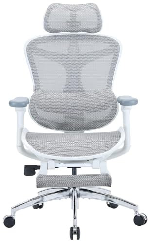 SIHOO Doro C300L Ergonomic Office Chair with Dynamic Lumbar Support, Adjustable Backrest Desk Chair with Footrest