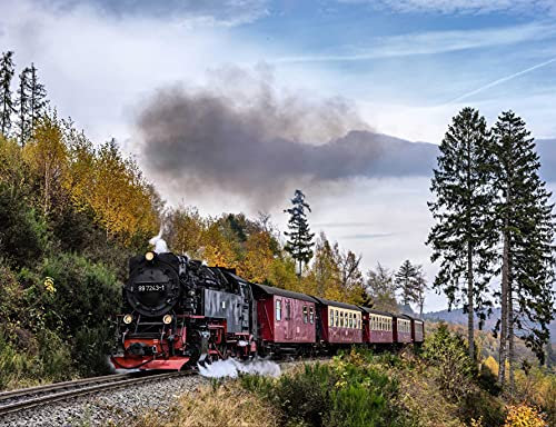 HANSEPUZZLE 100884 - Dampflokomotive Puzzle 1000 Teile | Fortbewegung Mit Hochwertiger Aufbewahrung: Kartonbox Und Wieder Verschließbarem Beutel | Maße: 60 x 46 cm