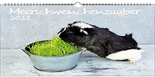 Meerschweinchenzauber DIN A3 Kalender für 2023 Meerschweinchen - Seelenzauber