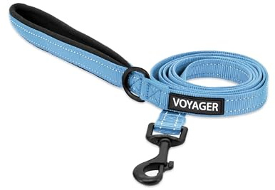 Best Pet Supplies Voyager Nylon Dog Leash - Baby Blue, Small