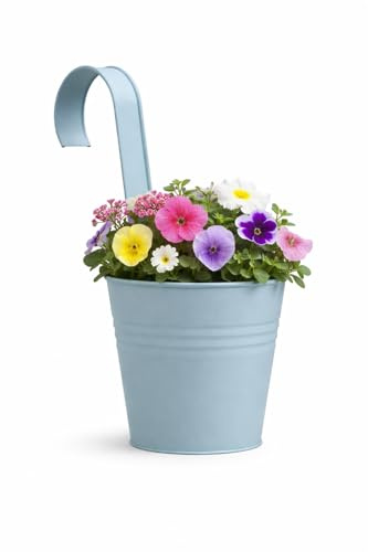 The Happy Garden Galvanised Metal Hanging Railing Planter, Antique Finish Balcony & Fence Pot with Detachable Hook, Rust-Resistant Indoor & Outdoor Planter for Balcony & Garden (5.5” Height, Blue)