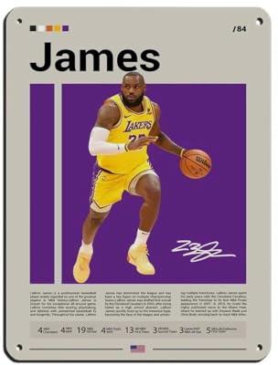 LeBron James Lakers Retro-Poster, Metall-Blechschild, schicke Kunst, Retro, Eisenmalerei, Bar, Menschen, Höhle, Café, Familie, Garage, Poster, Wanddekoration, 30 x 40 cm