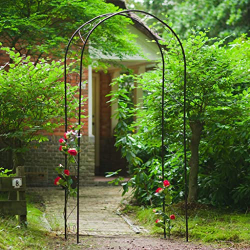Outdoor Living - Giardino e prato - Nature Garden Arch Metal 100x37x230cm Nero