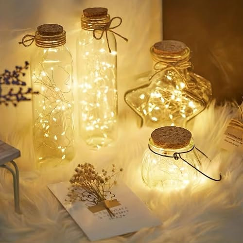 ARITAI Micro Fairy Lights with 20 Warm White LED Xmas Tree Lights for Bedroom, Christmas, Parties, Jars Decoration 2 metre Long