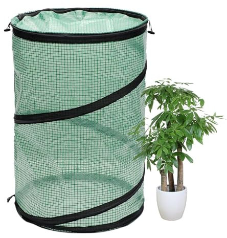 Besreey Pequeño Invernadero Interior,Pequeño Invernadero para Exteriores - Invernadero Protector de Mesa Invernadero para Plantas de Interior | Invernadero a Prueba de Viento para balcón, Tienda de