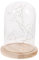 CIYODO Glass Dome Table Lamp with Wooden Base Led Warm White Fairy String Lights for Bedroom and Living Room Decor Energy Efficient and Unique Design