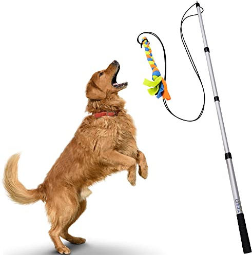 YES4QUALITY Reizangel für Hunde mit sicherer und starker, Nicht elastischer Schnur, Teleskop-Köderstange für Hunde jeder Größe, Hundespielzeug für Training und Übung, Flirtstange, Teaser Rute