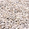Premium Pebbles Felsen für Pflanzen Cremeweiße Dekokiesel für Pflanzen 3/8 Zoll - 4,5 kg Steine für Garten, Landschaftsbau, Sukkulenten, Töpfe, Pflanzen (XSM (0,375 Zoll), Weiß - Weiß Creme, 10)