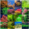 Aquarium Pflanzen 1000 Mischen Wasserpflanzen Samen Aquariumpflanzen Miniteich Aquarium Dekoration Gartenpflanzen Aquarium Bonsai Teichdeko Ziergras