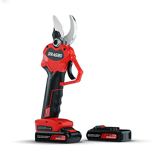 Dragro Sécateur électrique Sécateur électrique professionnel sans fil alimenté par batterie, Sécateur de branches d'arbres avec 2 PCS Batterie rechargeable 2 Ah Lithium - Diamètre de coupe 30mm