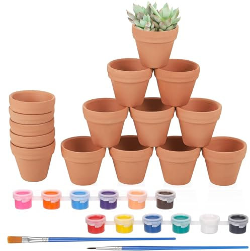 DtgEcd 19 Pcs Terracotta Pots, Terracotta Plant Pots, Mini Clay Pot, for Painting with 2 Brushes and 12 Colors, Can DIY, Small Pots for Indoor and Outdoor Decoration