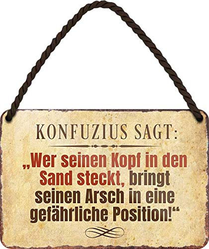 schilderkreis24 - Blechschild 18×12 cm – witzige & freche Sprüche – Deko für Küche, Büro & Camper – lustige Geschenkidee (Konfuzius sagt..)
