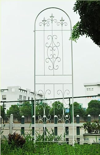 DHGVCED Garten Rankgitter Für Kletterpflanzen Im Freien – 2er-Pack – 215 cm Hoch X 102 cm Breit, Rostfreies Spalier Für Topfkletterpflanzen, Weinreben Und Blumen(Color:White)