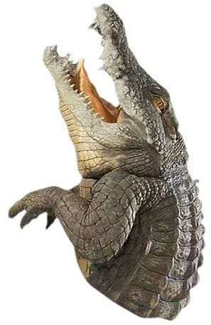 NOLITOY Krokodilkopfverzierungen schwimmender gefälschter Alligator Teichdekor Statuen Dekorationen Hinterhof Teichskulptur schwimmende Teichverzierungen Pool-Zubehör Tierdekoration Harz