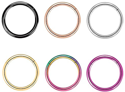 Artskin 6 Stück G23 Titan Nasenringe Hoop 16G Durchmesser 10mm Scharnier Segment Ring Lippenring Conch Daith Helix Rook Tragus Lobe Snug Ear Body Piercing Ringe Schmuck