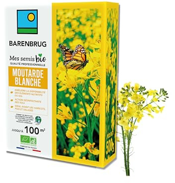 BARENBRUG - Mostaza Blanca BIO - Mejora la Disponibilidad de Nutrientes y los Devuelve a los Cultivos Futuros - Desinfecta el Suelo - Fabricado en Francia - 500 g