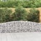 Camerina Gabionen mit Hochbogen 3 STK. 400x30x60/80 cm Verzinktes Eisen Zaun Gabionen WasserzapfsäUle Garten Pflanzsteine Beton Garten Stapelbar Gabionenzaun Gabionen