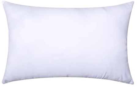 Kopfkissen 2 stücke Werfen Kissen Einsatz 30x50cm Innere Weiche Plump Stuffer Pads Weiß Dekorative FüR Zuhause Und Hotel