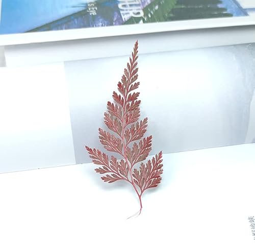 100/200 Stück Trockenblumen Kopf Trockene Gänseblümchen Pflanzen für Epoxidharz Anhänger Halskette Schmuckherstellung Handwerk DIY Nail Art Zubehör-Stenoloma rot, 100 Stück