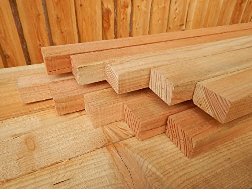 ZAUNLATTE LÄRCHE HOLZ LATTEN LATTENZAUN HOLZZAUN 25x50 mm 2,5x5 120cm (5)